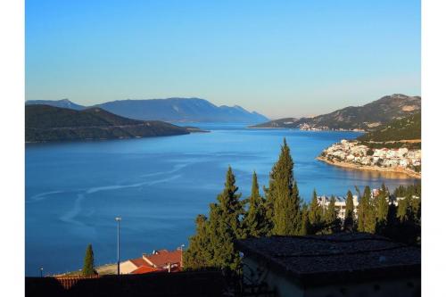 ����� ��������