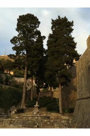 ���������